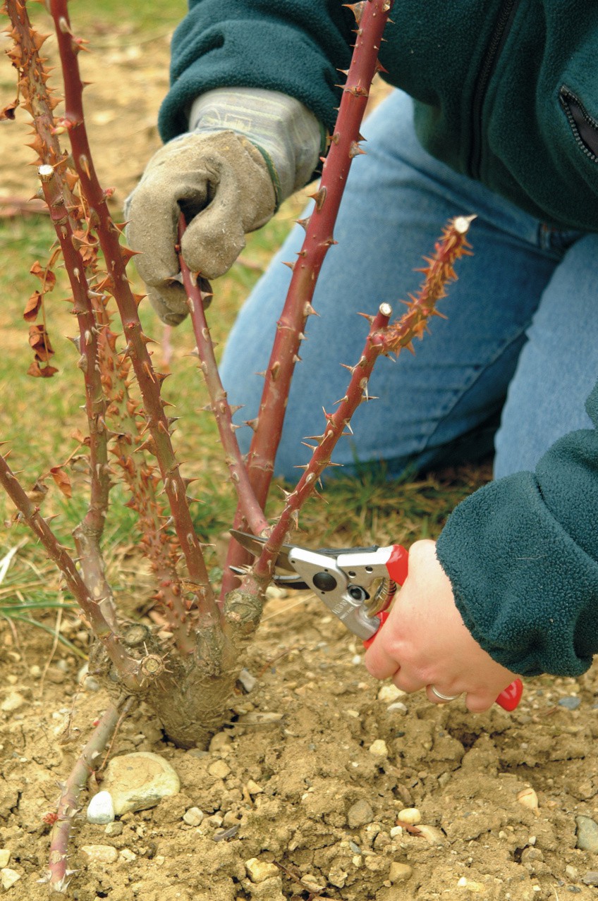 Dimopanas - FELCO ΨΑΛΙΔΙ ΚΛΑΔΕΜΑΤΟΣ ΑΡΙΣΤΕΡΟΧΕΙΡΑ 10
