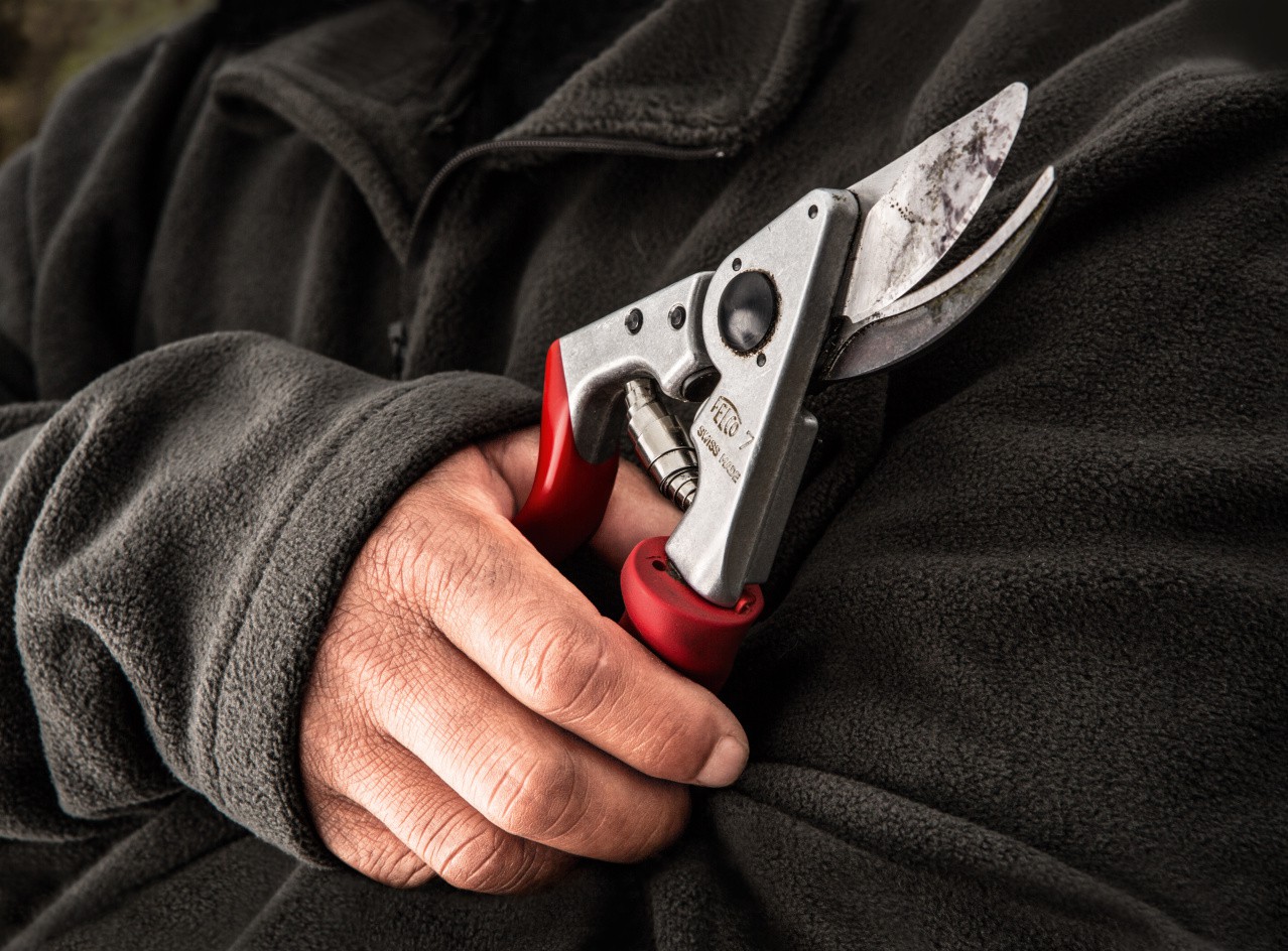 Dimopanas - FELCO ΨΑΛΙΔΙ ΚΛΑΔΕΜΑΤΟΣ 7