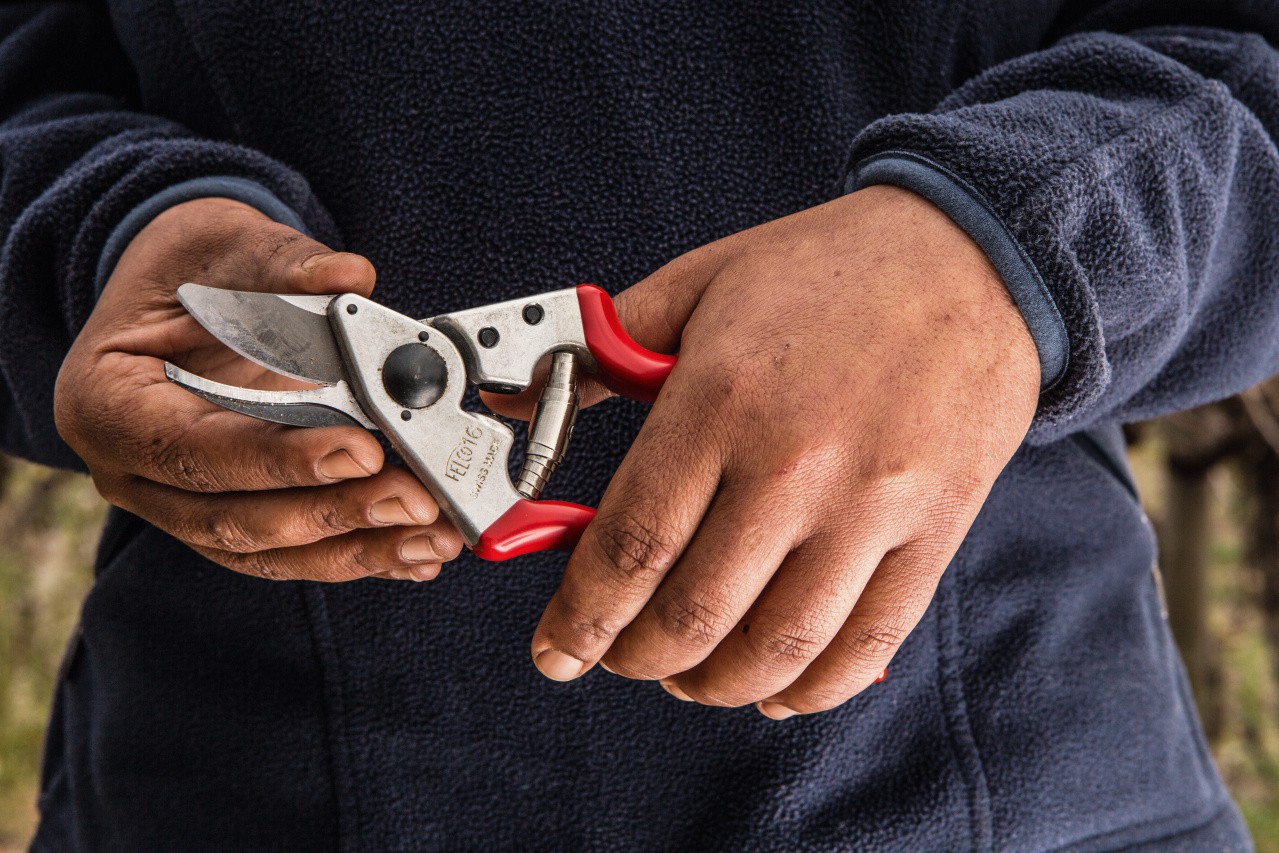 Dimopanas - FELCO ΨΑΛΙΔΙ ΚΛΑΔΕΜΑΤΟΣ ΑΡΙΣΤΕΡΟΧΕΙΡΑ 16