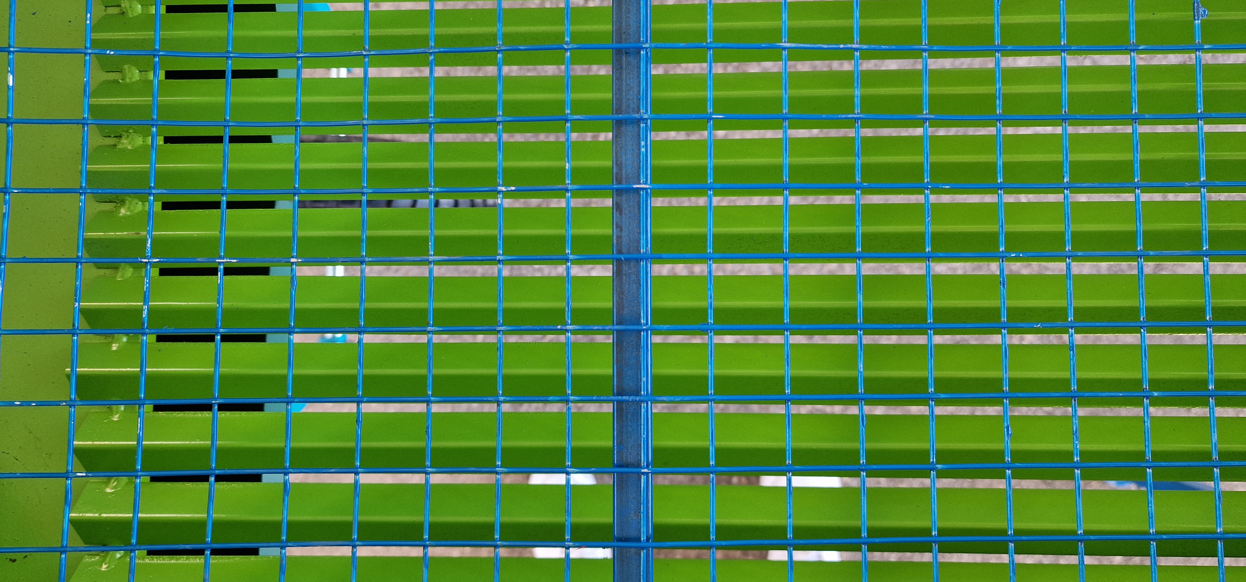 Dimopanas - ΚΟΣΚΙΝΟ ΕΛΙΑΣ ΚΟΥΝΙΣΤΟ ΜΕ ΜΙΑ Ή ΔΥΟ ΡΟΔΕΣ ΕΛΛΗΝΙΚΗΣ ΚΑΤΑΣΚΕΥΗΣ