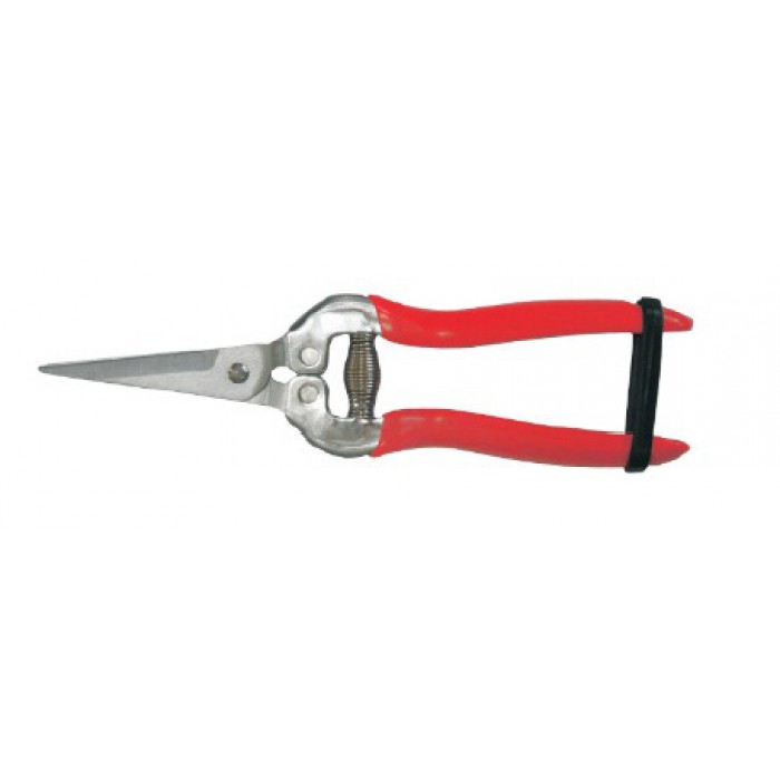 Dimopanas - ΨΑΛΙΔΙ ΤΡΥΓΟΥ ΙΣΙΟ ΜΑΚΡΥ