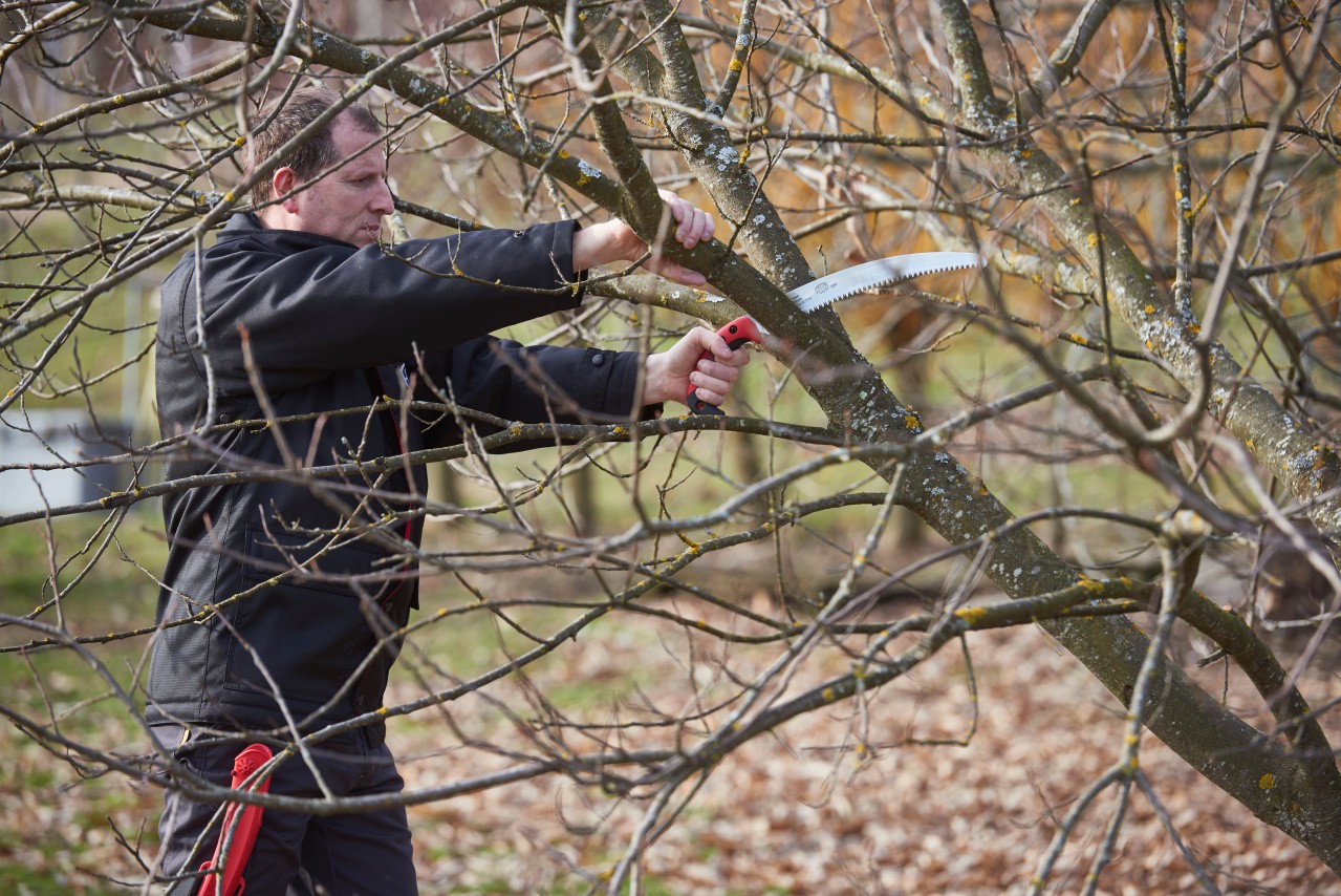 Dimopanas - FELCO ΠΡΙΟΝΙ ΚΥΡΤΟ 33CM 630