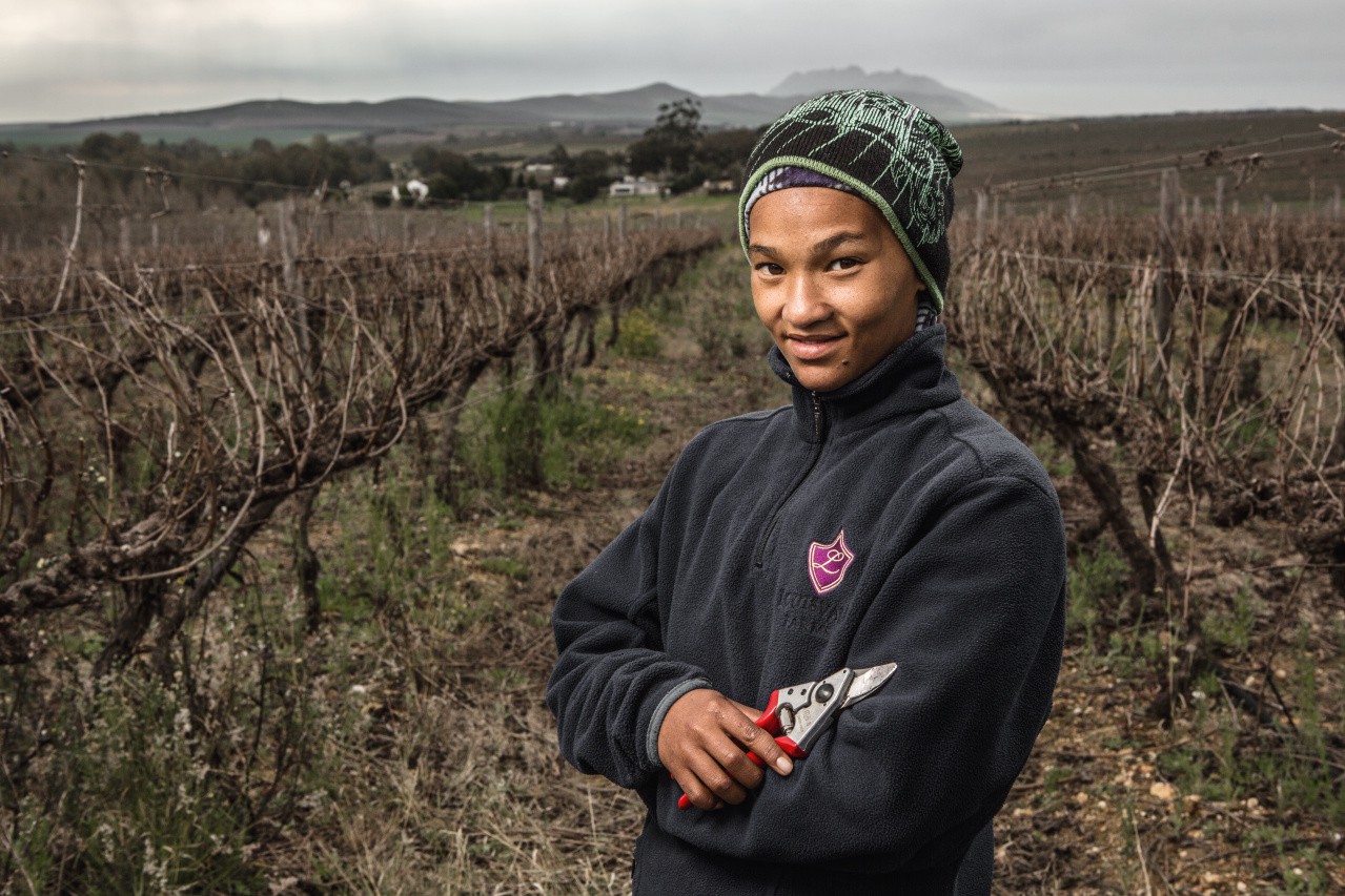 Dimopanas - FELCO ΨΑΛΙΔΙ ΚΛΑΔΕΜΑΤΟΣ 6