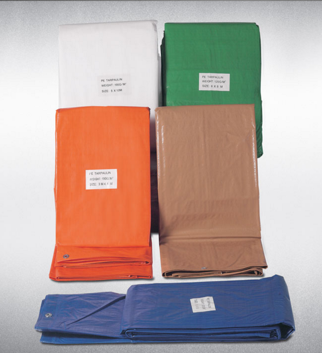 Dimopanas - 3x6m WATERPROOF CANVAS WITH RINGS 120gr / m2