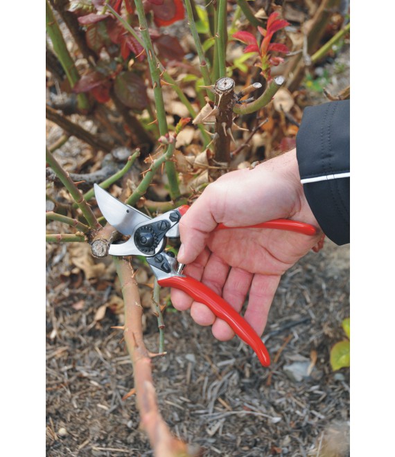 Dimopanas - FELCO ΨΑΛΙΔΙ ΚΛΑΔΕΜΑΤΟΣ 11