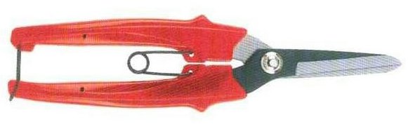Dimopanas - HARVEST SCISSORS STRAIGHT WITH PLASTIC HANDLE