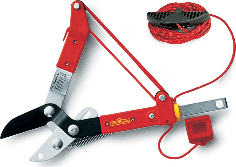 Dimopanas - WOLF ΨΑΛΙΔΙ ΚΟΡΥΦΗΣ RC-M 