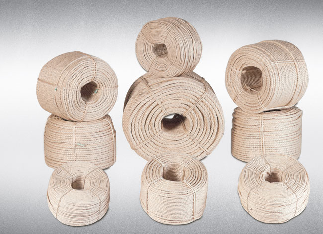 Dimopanas - ΣΧΟΙΝΙΑ ΣΙΖΑΛ (ΤΙΜΗ ΚΙΛΟΥ)