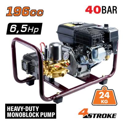 NAKAYAMA NS4010 ΨΕΚΑΣΤΙΚΌ ΒΕΝΖΊΝΗΣ 6.5HP 